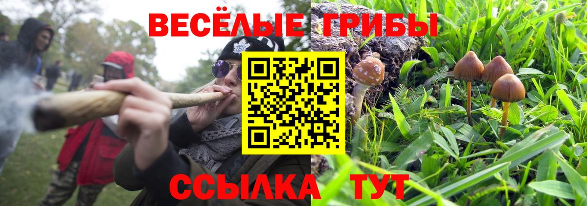 Югорск  Галлюциногенные грибы мухоморы  Псилоцибиновые грибы прущие грибы  Вход с VPN 