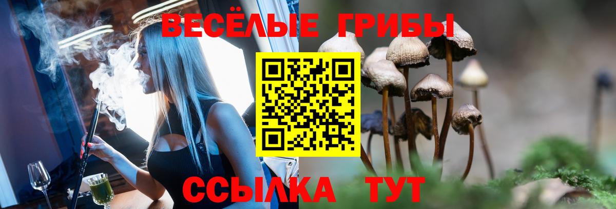 Псилоцибиновые грибы ЛСД Югорск